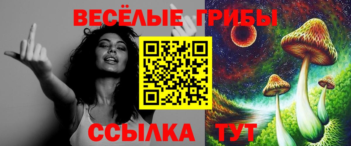 Псилоцибиновые грибы мухоморы Борисоглебск